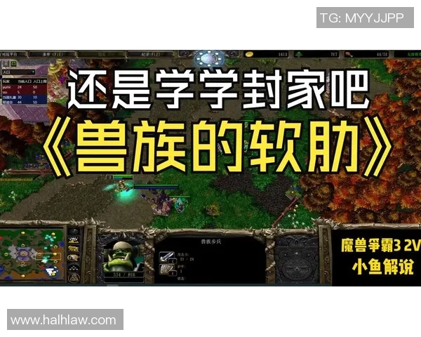 为什么魔兽争霸2V2没有比赛-探究魔兽争霸2V2模式缺乏比赛的原因-为什么魔兽争霸2V2没有比赛